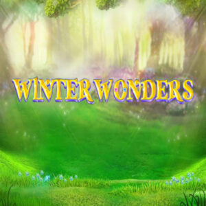Winter wonders