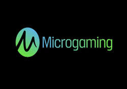 Reseña detallada sobre Microgaming