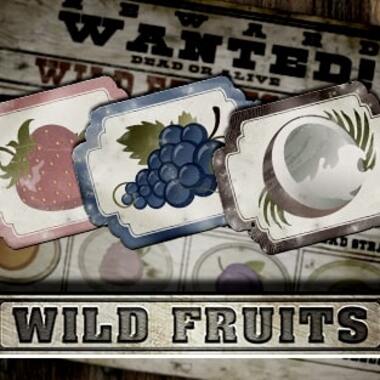 Reseña de la Máquina Tragamonedas Wild Fruits